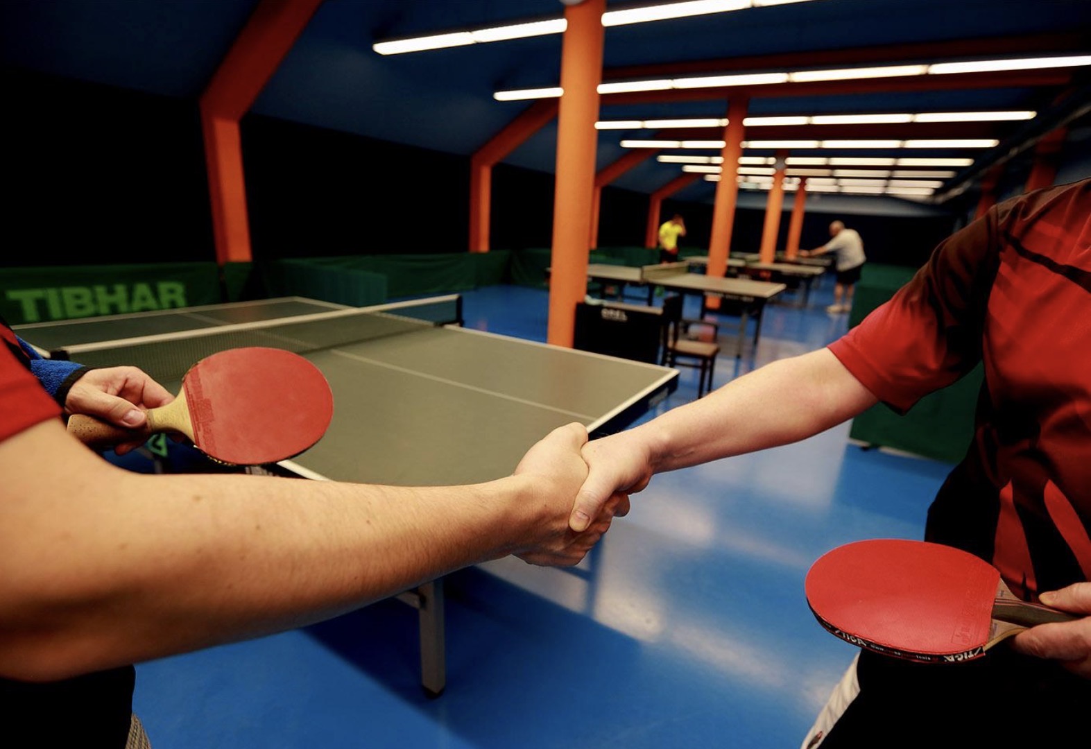 Stolní tenis 
