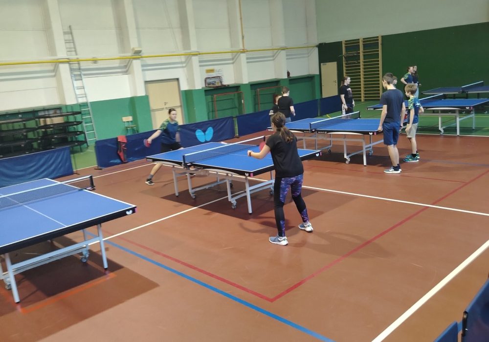 Stolní tenis - rekreační hraní dětí a mládeže 6 až 19 let, doplňkový sport florbal
